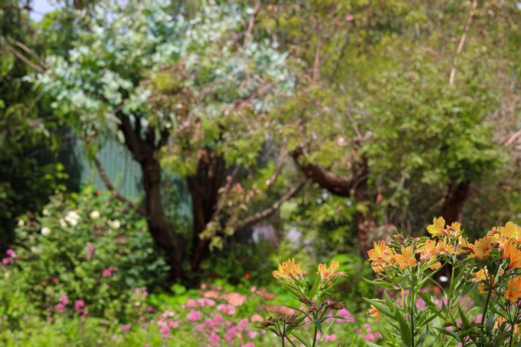 戴茜山乡村山林小屋 坎贝尔港 外观 照片